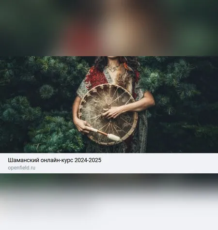 Путь Шамана - Елена Веселаго