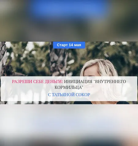 Разреши себе деньги: инициация «Внутреннего Кормильца» - Татьяна Сокор