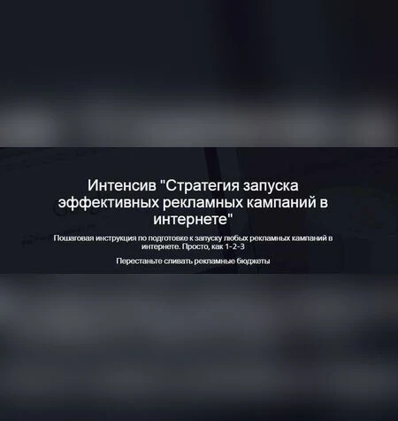 Стратегия запуска эффективных рекламных кампаний в интернете - Надежда Раюшкина