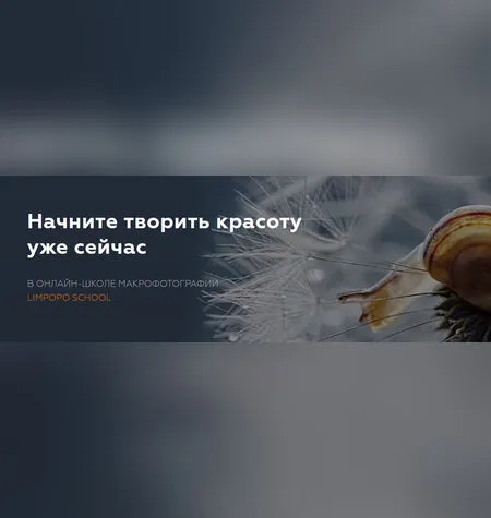 LIMPOPO SCHOOL - Полина Серова