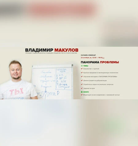 Панорама проблемы - Владимир Макулов