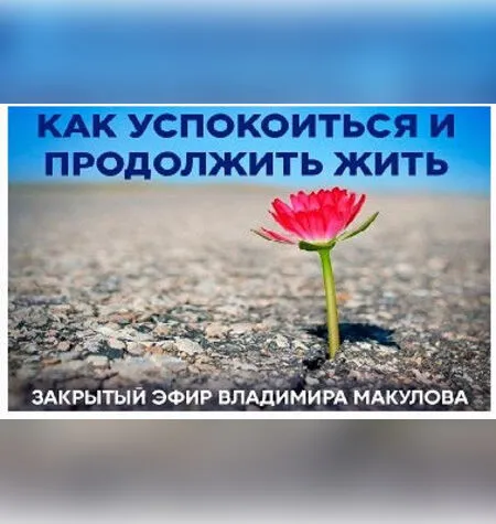 Как успокоиться и продолжить жить - Владимир Макулов
