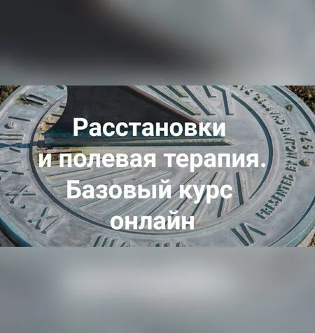 Расстановки и полевая терапия - Елена Веселаго
