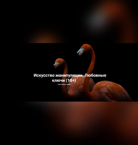 Искусство манипуляции. Любовные ключи - Рада Русских