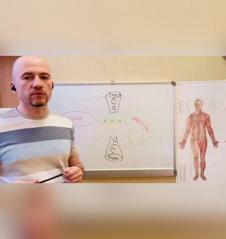 Доступная кинезиология - Максим Мальцев