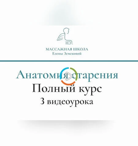 Анатомия старения - Массажная школа Елены Земсковой