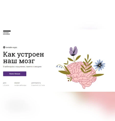Как устроен наш мозг - Синхронизация