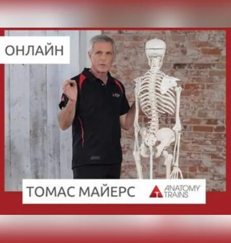 Чтение Тела - Томас Майерс