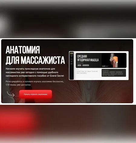Анатомия для массажиста - Максим Волков