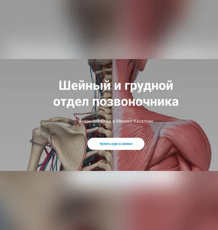 Шейный и грудной отдел позвоночника - Михаил Касаткин
