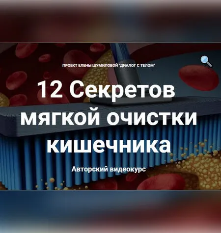 12 Секретов мягкой очистки кишечника - Елена Шумилова