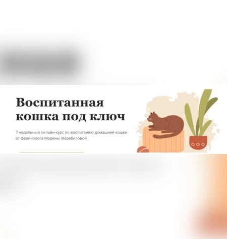 Воспитанная кошка под ключ - Марина Жеребилова